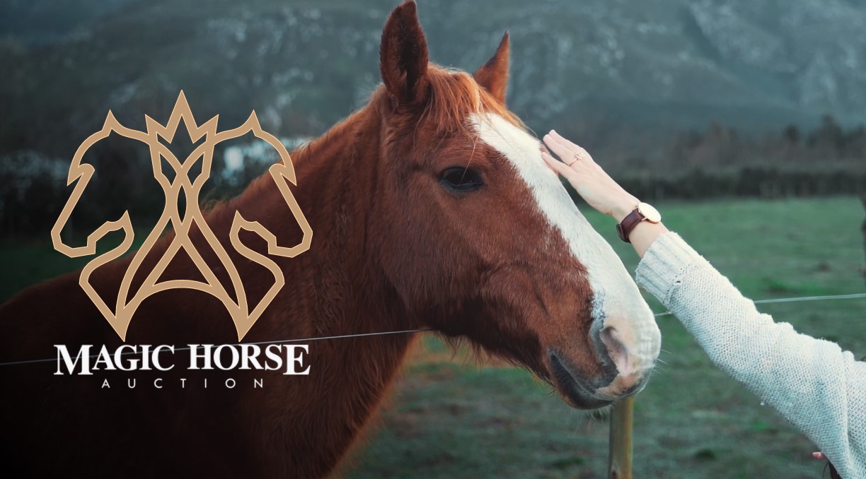 Magic Horse Auction