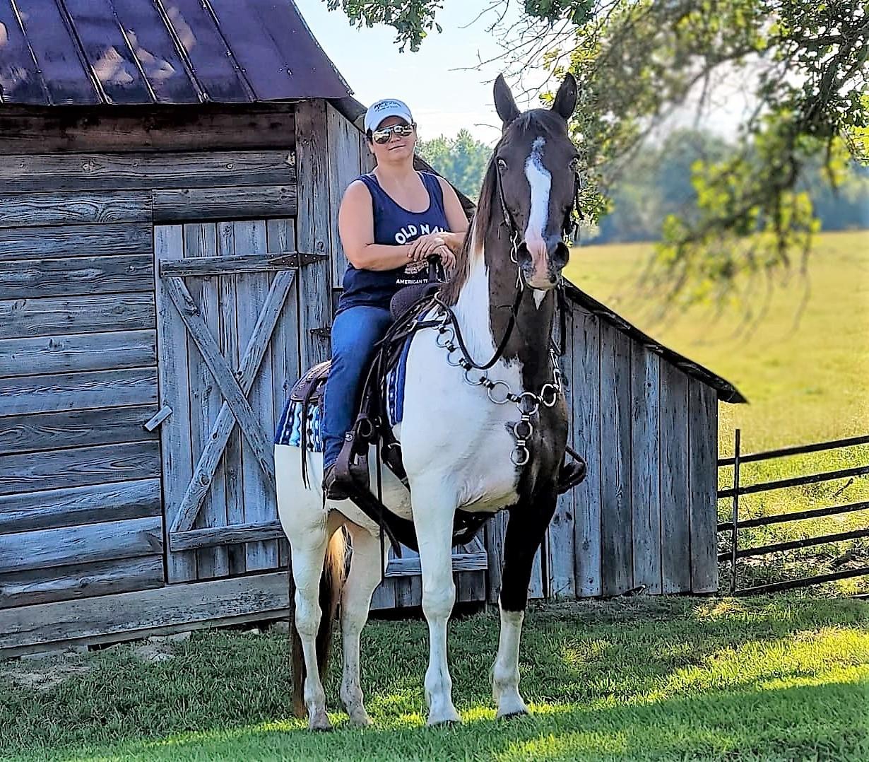 Cappuccino* Magic Horse Auction