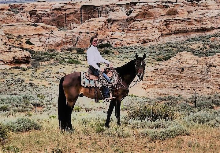 Maddox Magic Horse Auction