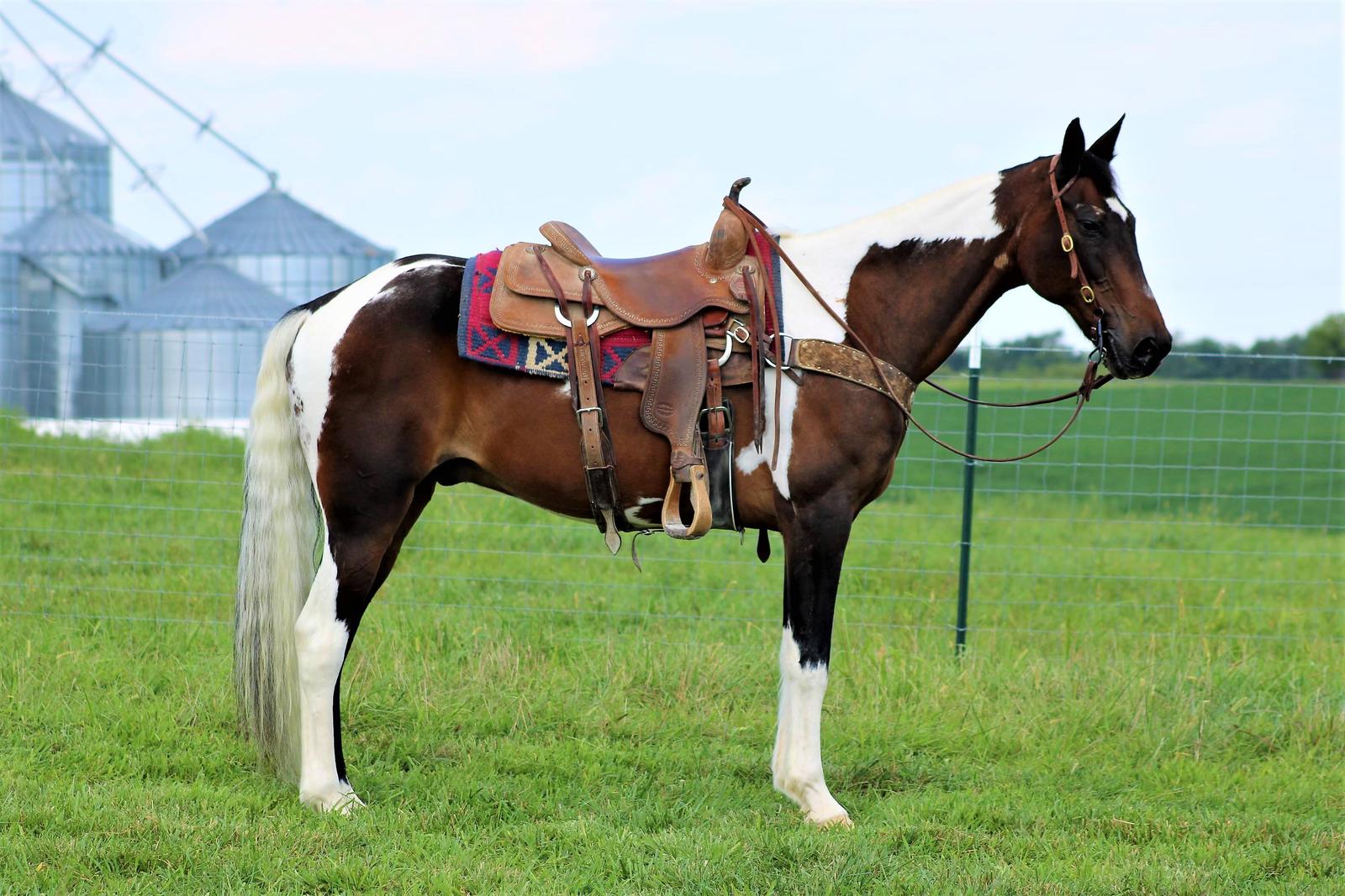 Duke* Magic Horse Auction