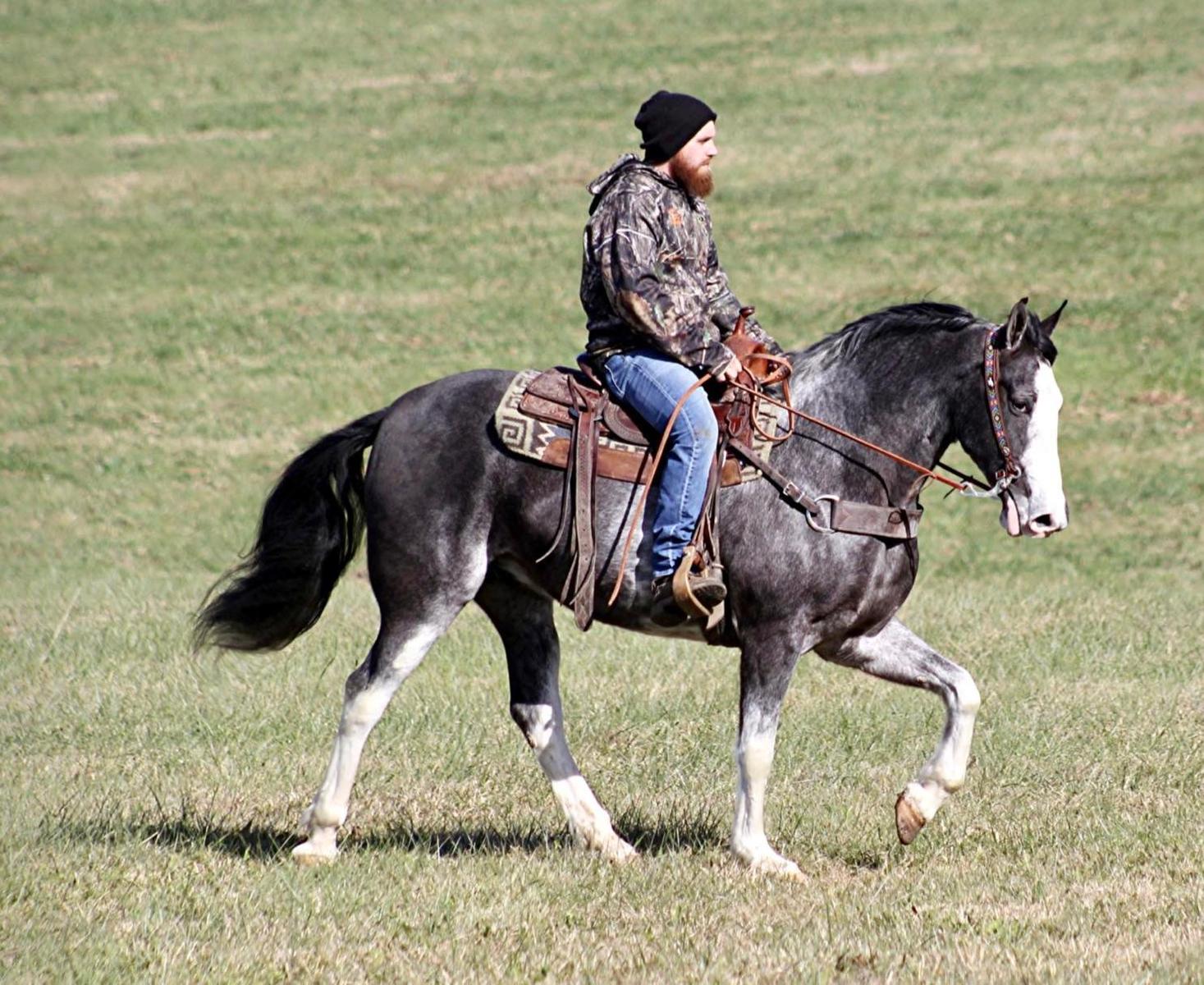 Casino Royale Magic Horse Auction