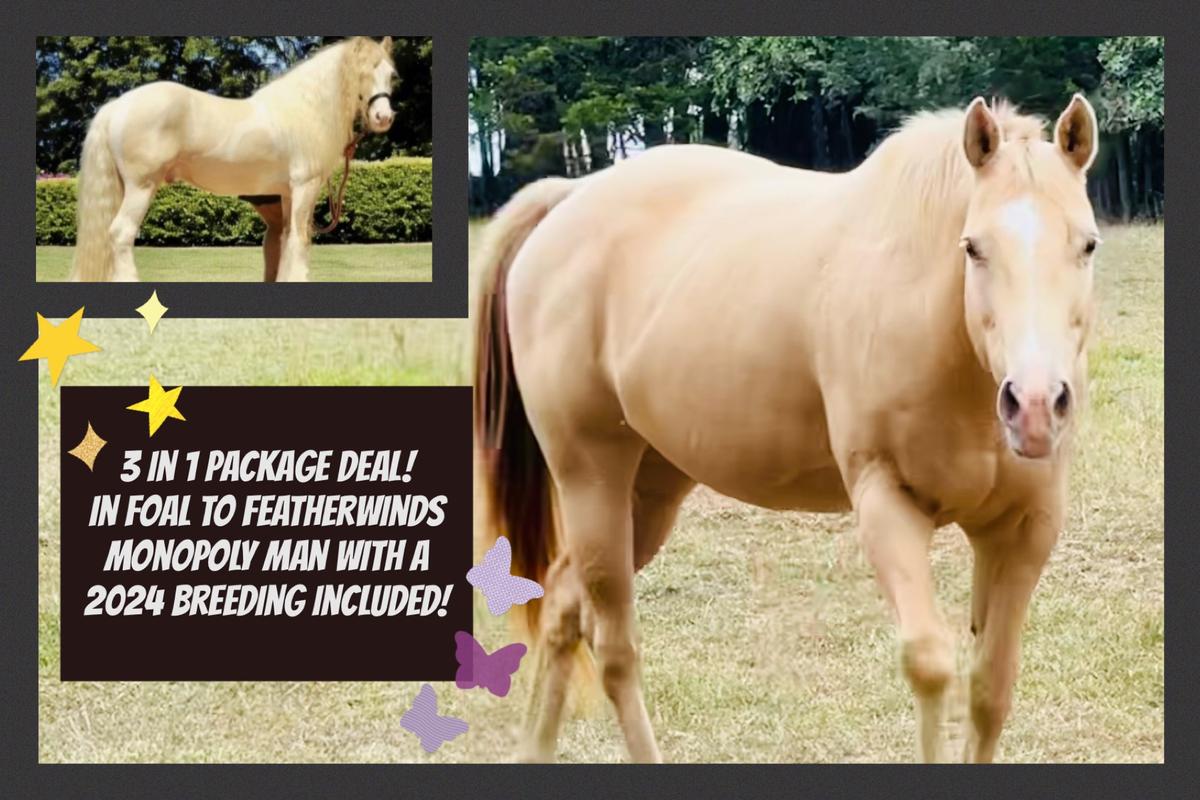 Mabel Magic Horse Auction