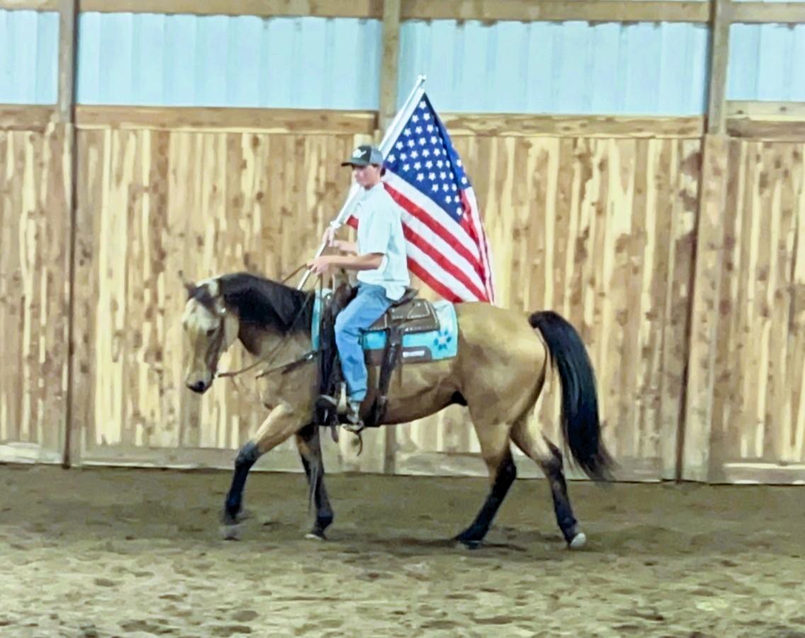 Slick Magic Horse Auction