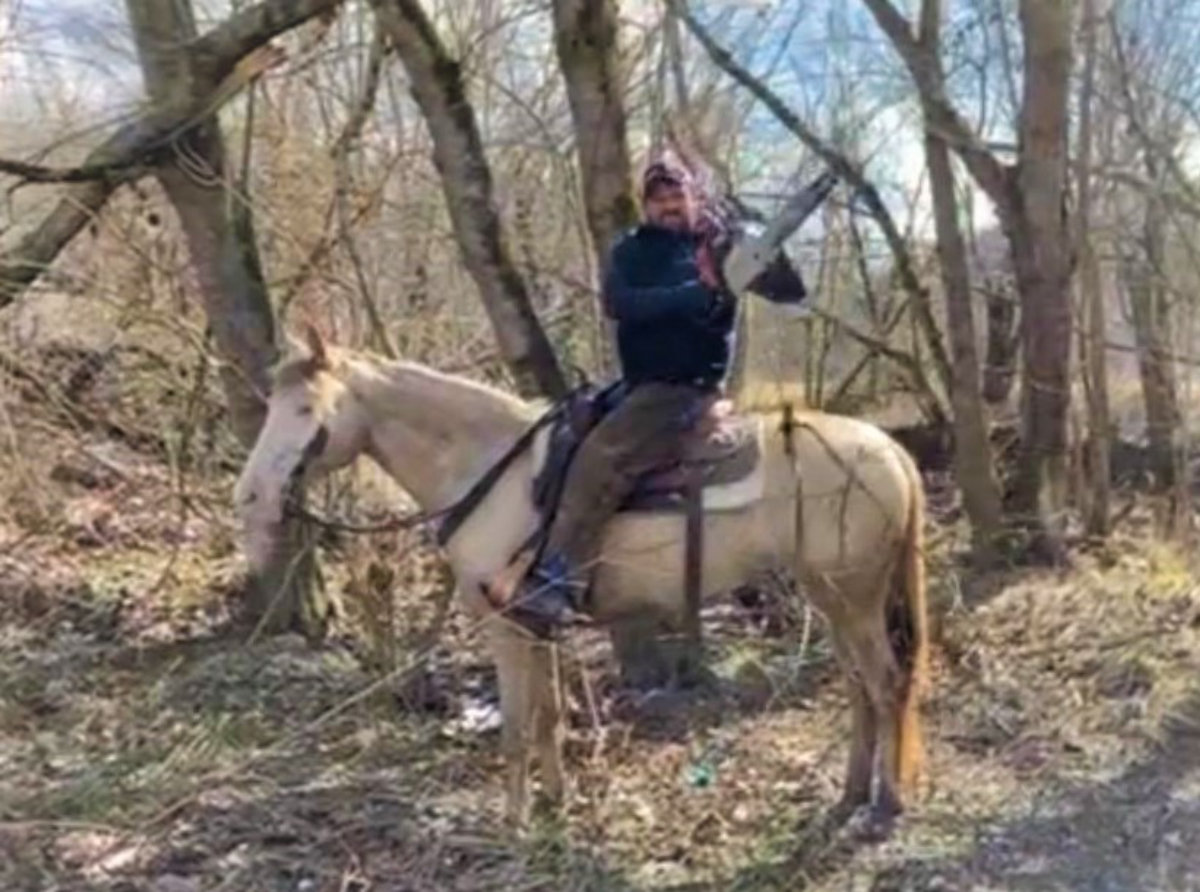 Cheyenne Magic Horse Auction
